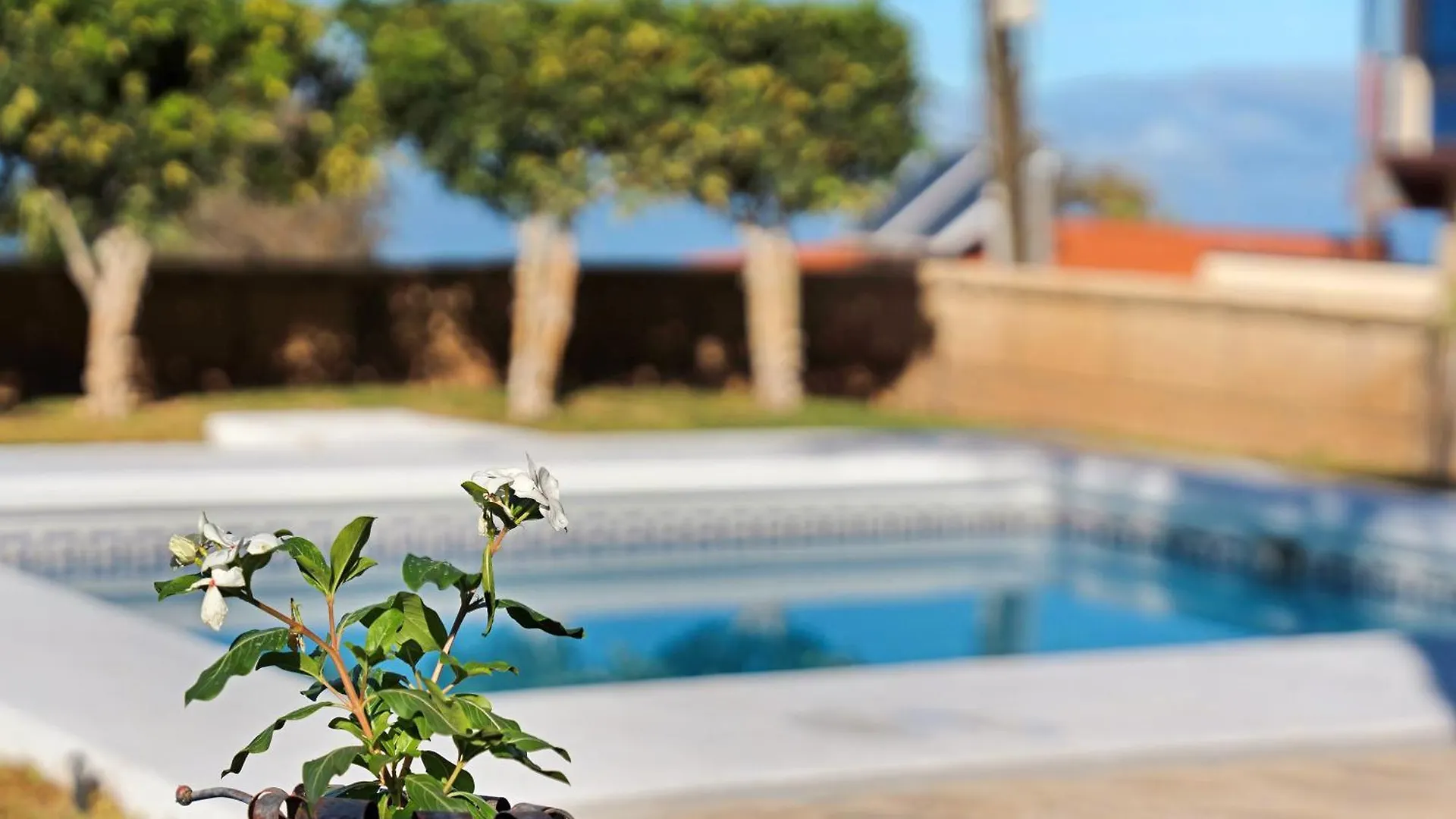 Villa El Vinco Tijoco Bajo By Paramount Holidays Costa Adeje